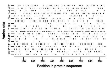 amino acid map