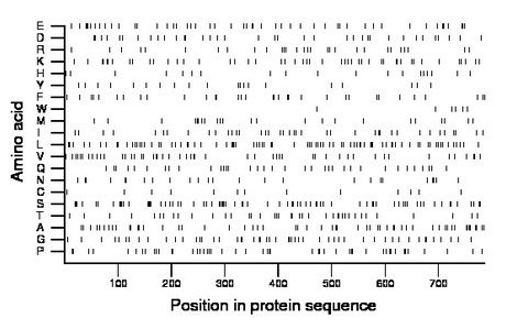 amino acid map