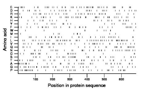 amino acid map