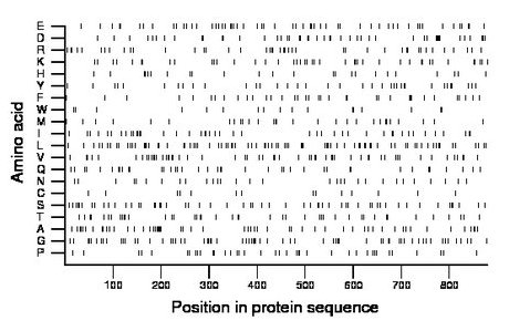 amino acid map