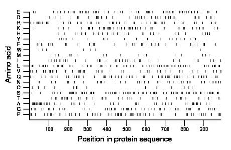 amino acid map