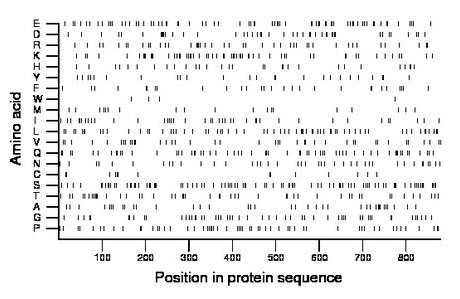 amino acid map