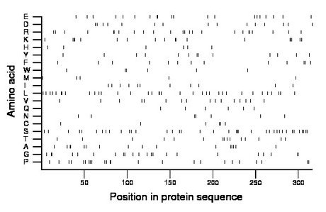 amino acid map