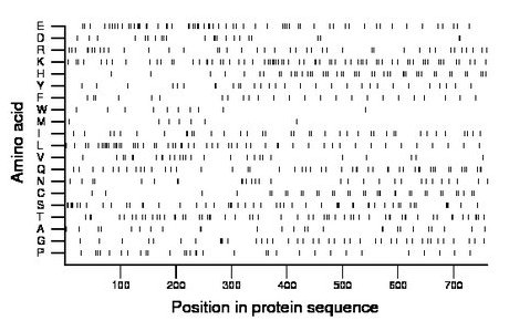 amino acid map