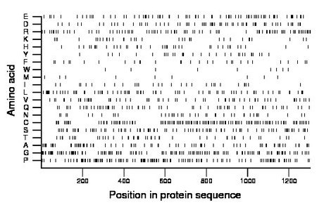 amino acid map