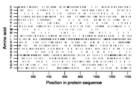 amino acid map