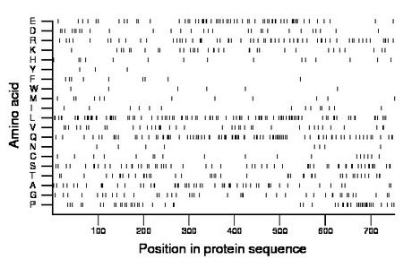 amino acid map