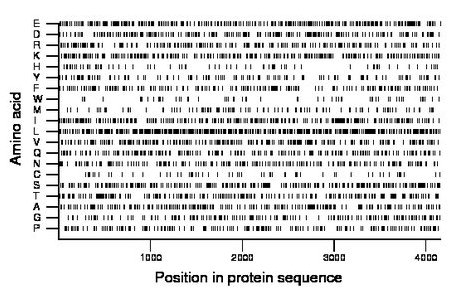 amino acid map