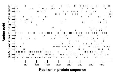 amino acid map