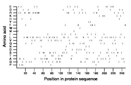 amino acid map