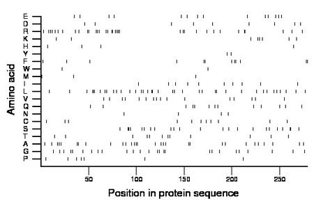 amino acid map