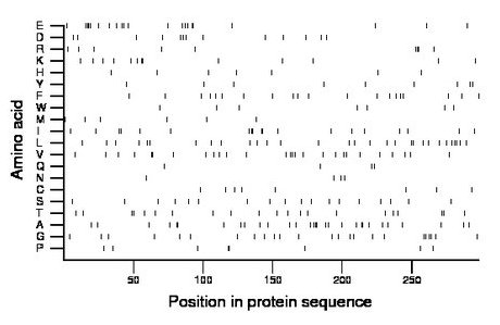 amino acid map