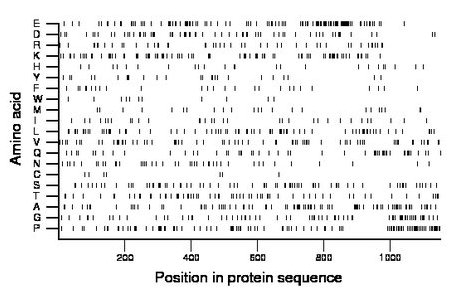 amino acid map