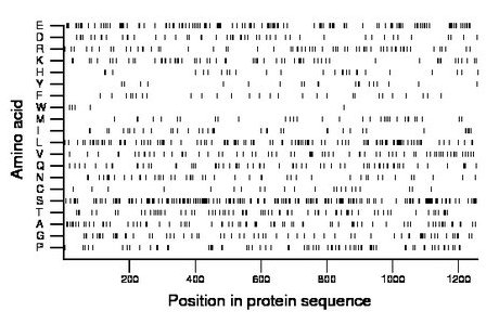 amino acid map