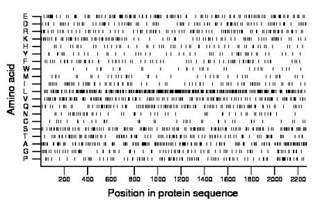 amino acid map