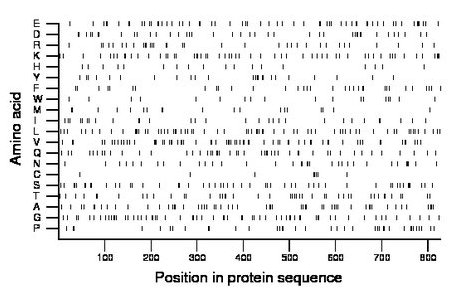 amino acid map