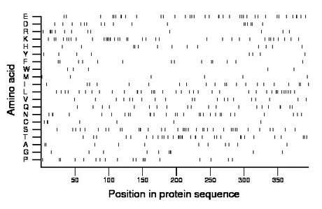 amino acid map