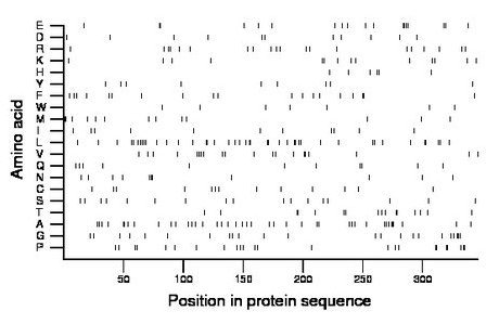 amino acid map