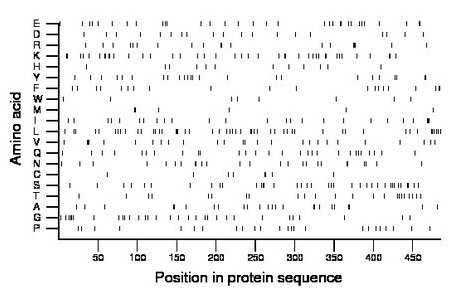 amino acid map