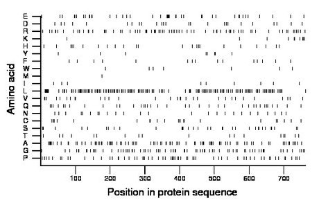 amino acid map