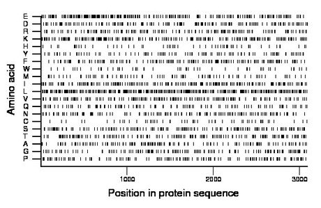 amino acid map