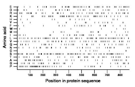 amino acid map