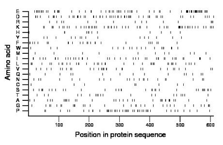 amino acid map