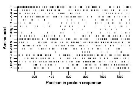 amino acid map