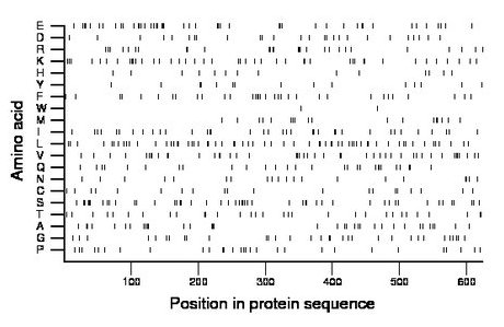 amino acid map