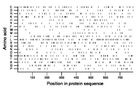 amino acid map