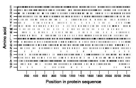 amino acid map