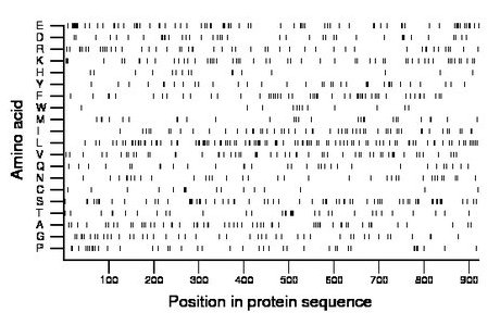 amino acid map