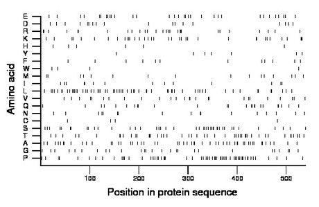 amino acid map