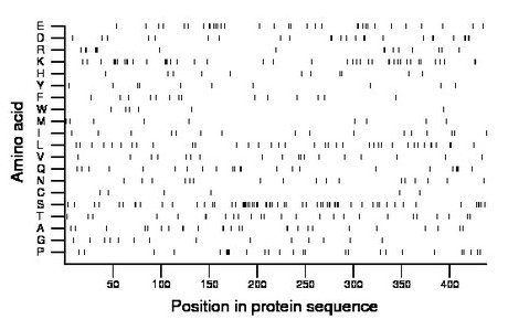 amino acid map