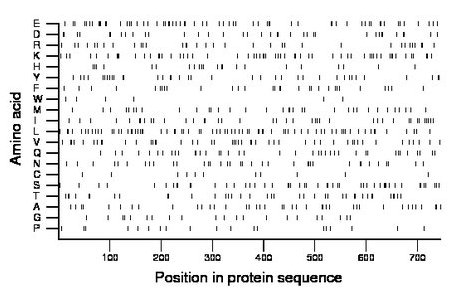 amino acid map