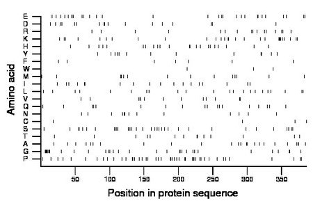 amino acid map