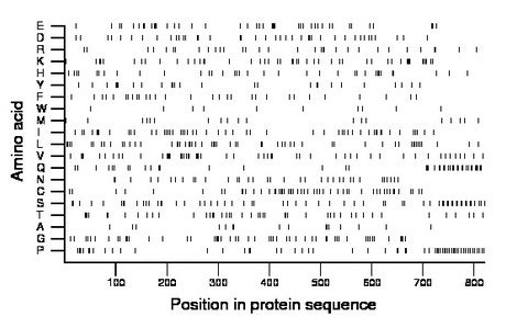 amino acid map