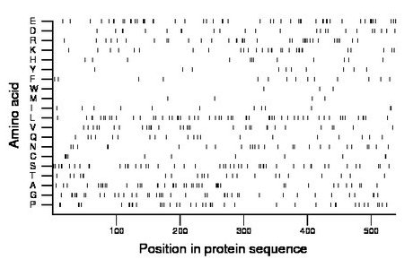 amino acid map