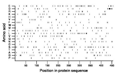 amino acid map