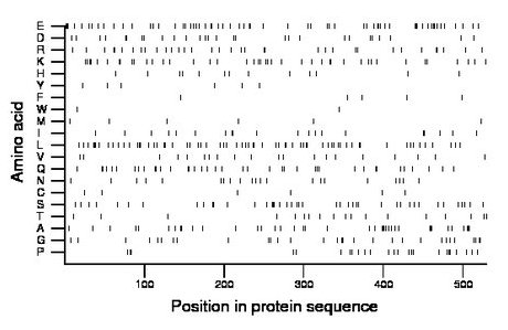 amino acid map