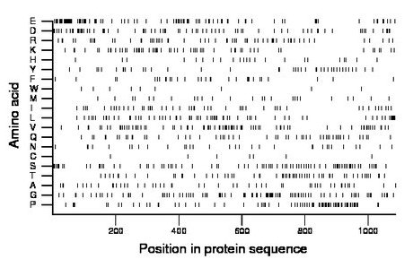 amino acid map