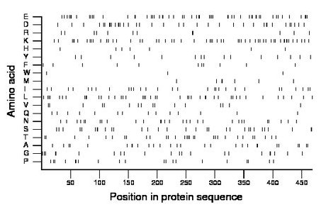 amino acid map