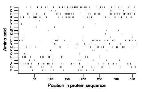 amino acid map