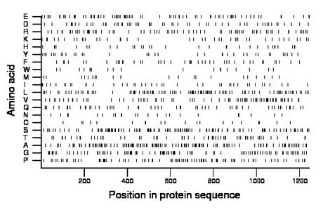 amino acid map