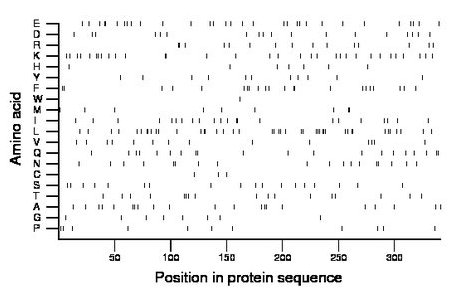 amino acid map