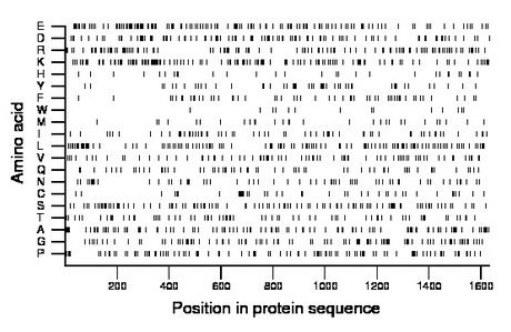 amino acid map