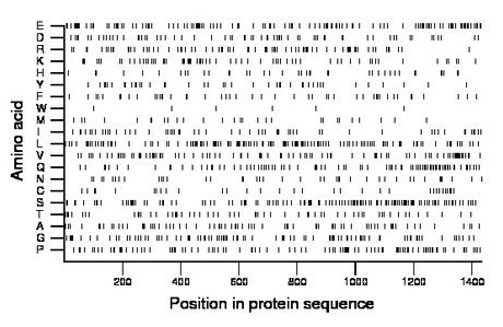 amino acid map