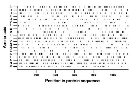 amino acid map