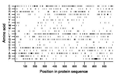 amino acid map