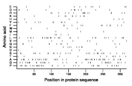 amino acid map